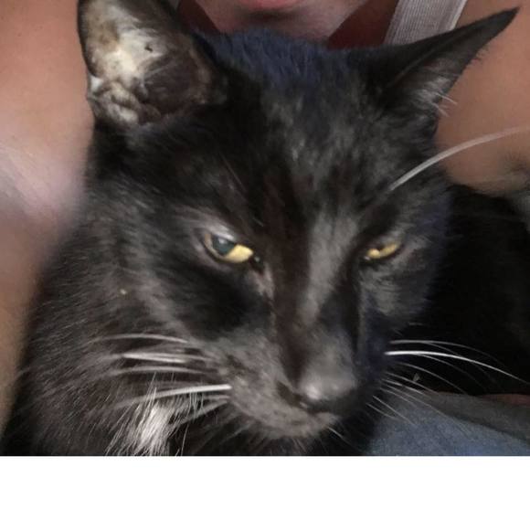 Meet your Posher, Jamie - Picture 1 of 1